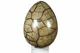 Septarian Dragon Egg Geode - Removable Section #121264-2